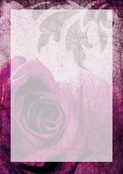 Rose d&eacute;licate pour des pens&eacute;es sinc&egrave;res